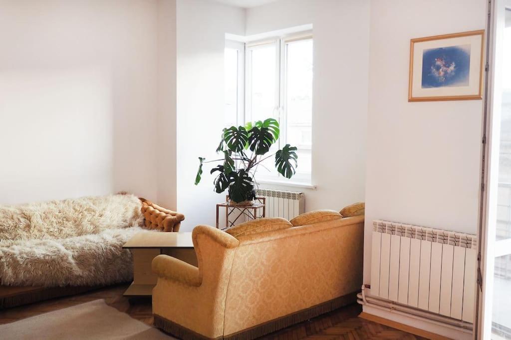 Central Rooms Przemyśl Εξωτερικό φωτογραφία